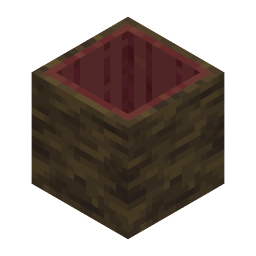 Hollow Mangrove Log