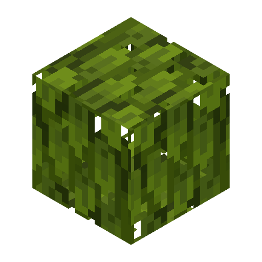 Palm Leaves