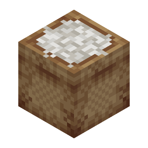 Rice Bag