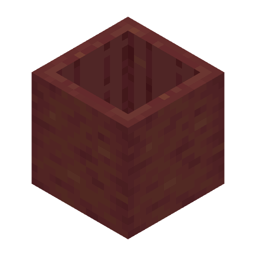 Stripped Hollow Mangrove Log