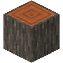 Acacia Log