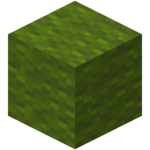 Green Wool
